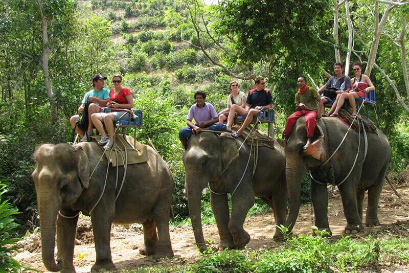 Corbett Elephant Safari